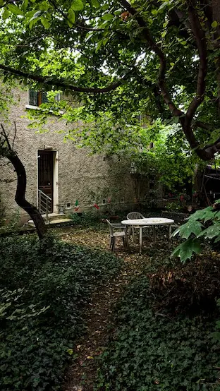 Une scène paisible de jardin arrière avec une table et des chaises au milieu de la verdure luxuriante et d'un mur rustique.